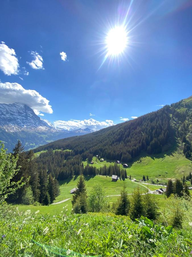 Chalet Herrschaft Grindelwald Eksteriør bilde