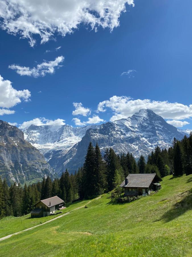 Chalet Herrschaft Grindelwald Eksteriør bilde