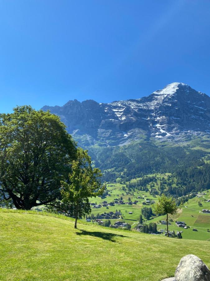 Chalet Herrschaft Grindelwald Eksteriør bilde