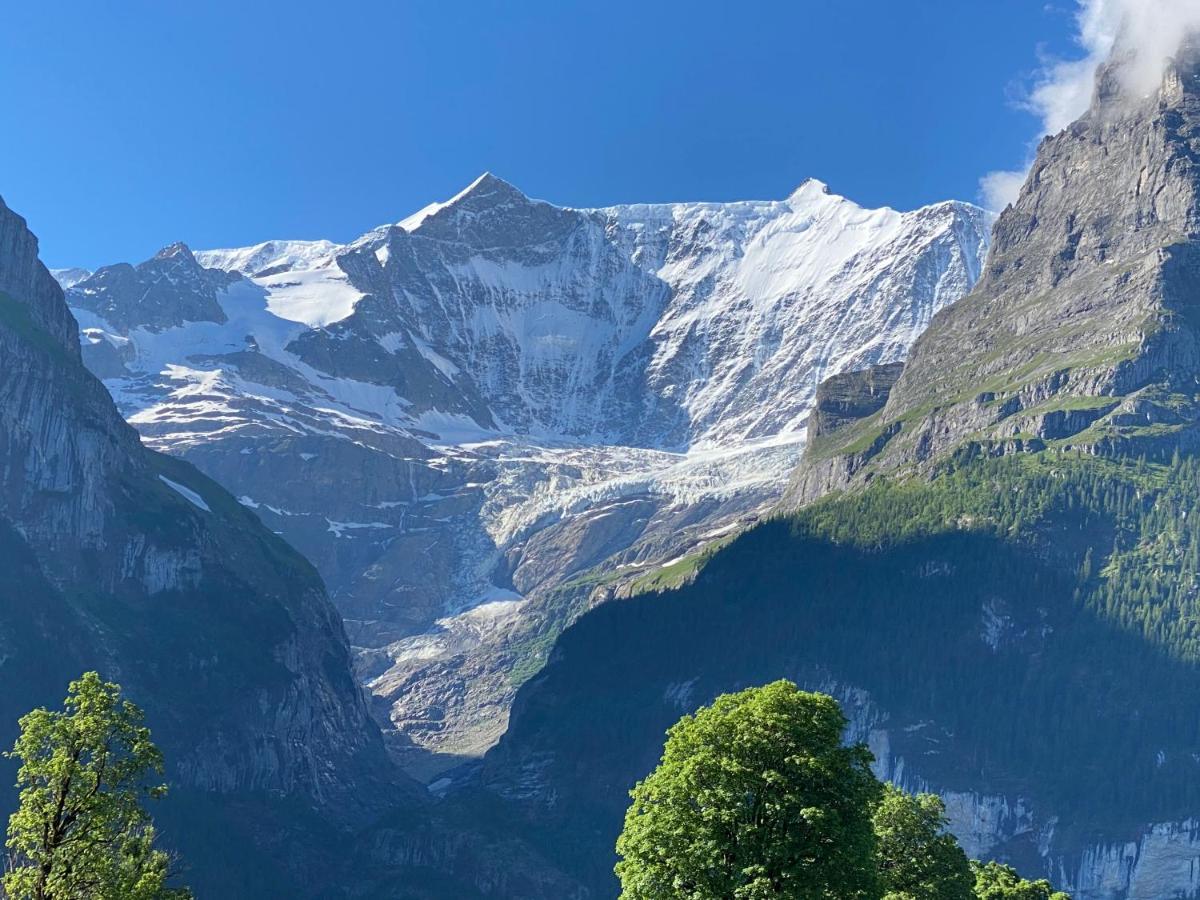 Chalet Herrschaft Grindelwald Eksteriør bilde