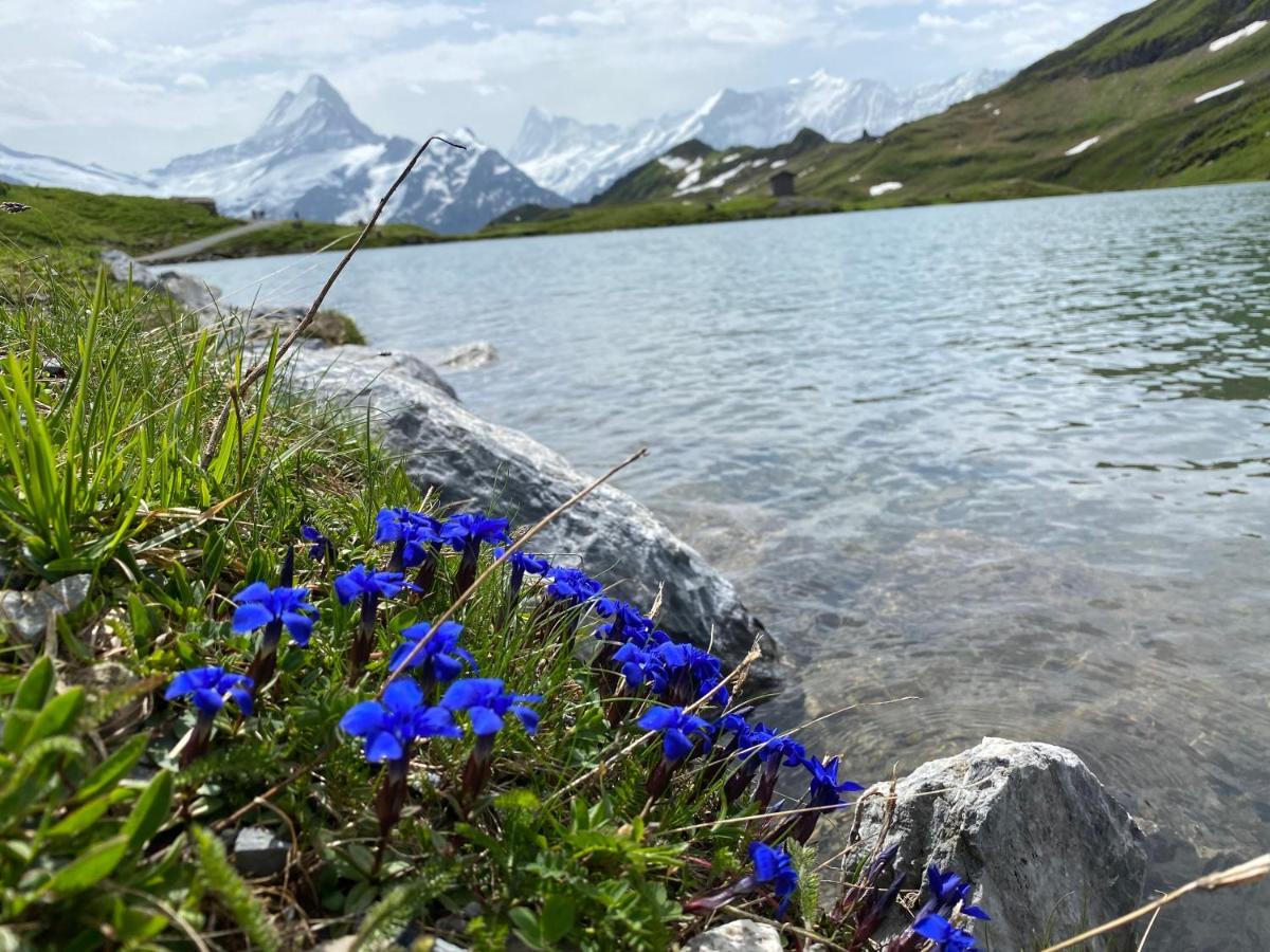 Chalet Herrschaft Grindelwald Eksteriør bilde