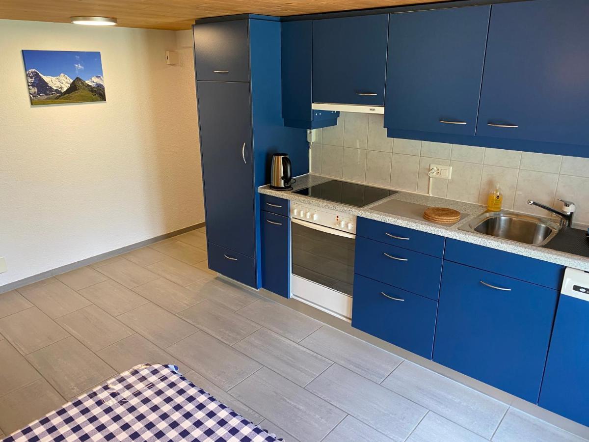 Chalet Herrschaft Grindelwald Eksteriør bilde