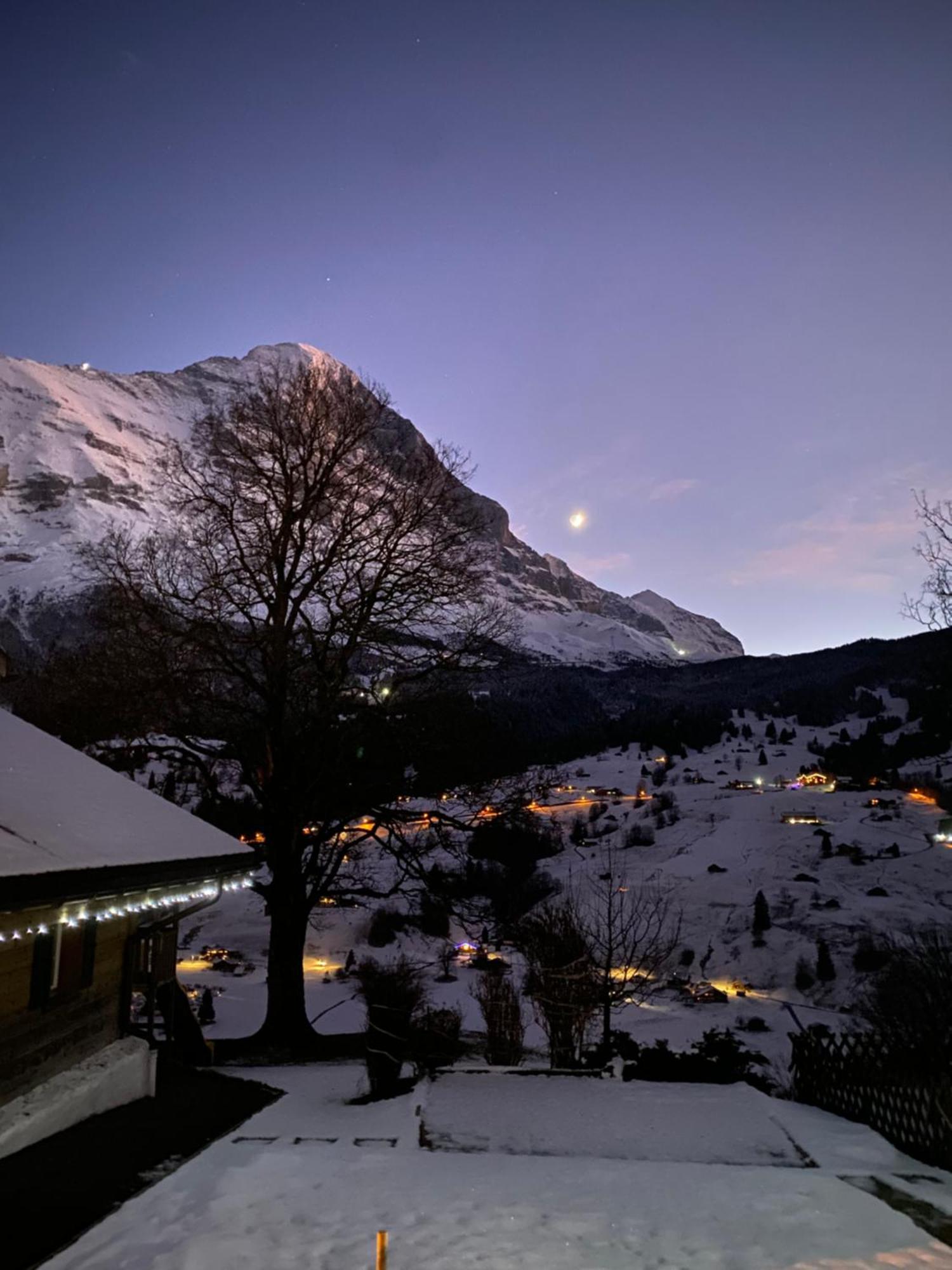 Chalet Herrschaft Grindelwald Eksteriør bilde