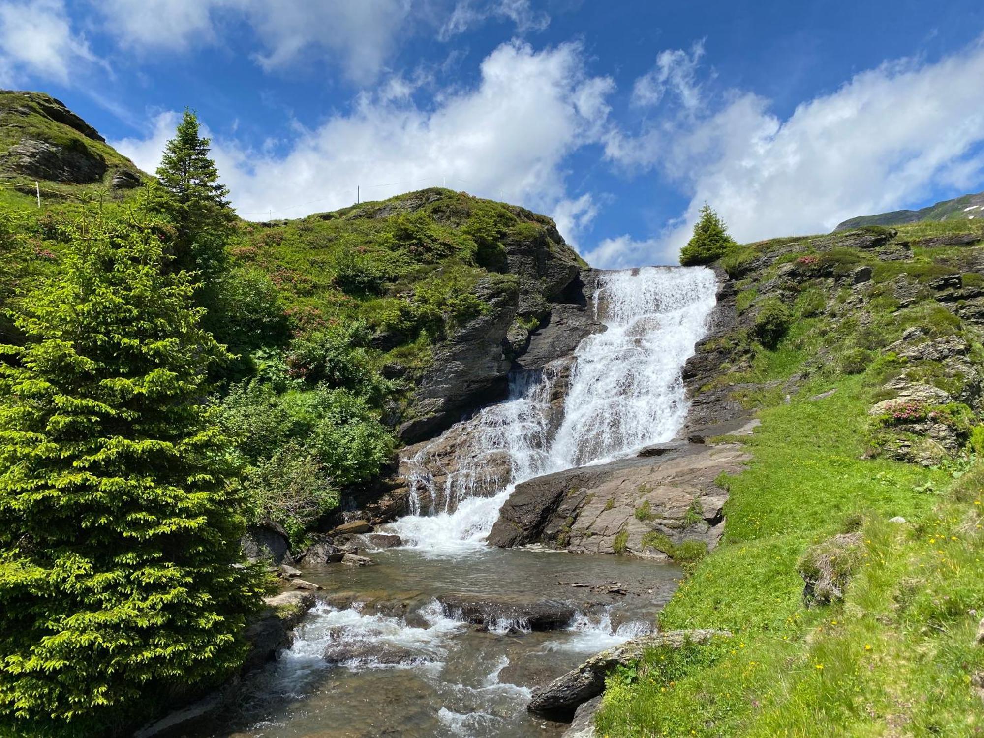 Chalet Herrschaft Grindelwald Eksteriør bilde