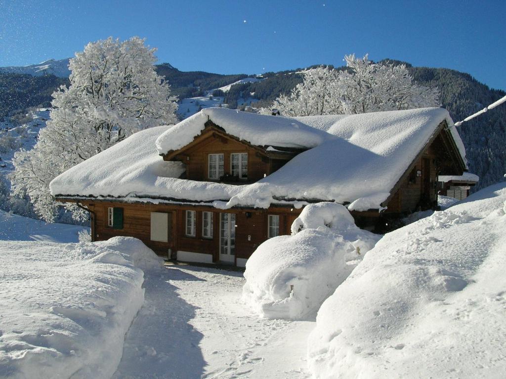 Chalet Herrschaft Grindelwald Eksteriør bilde